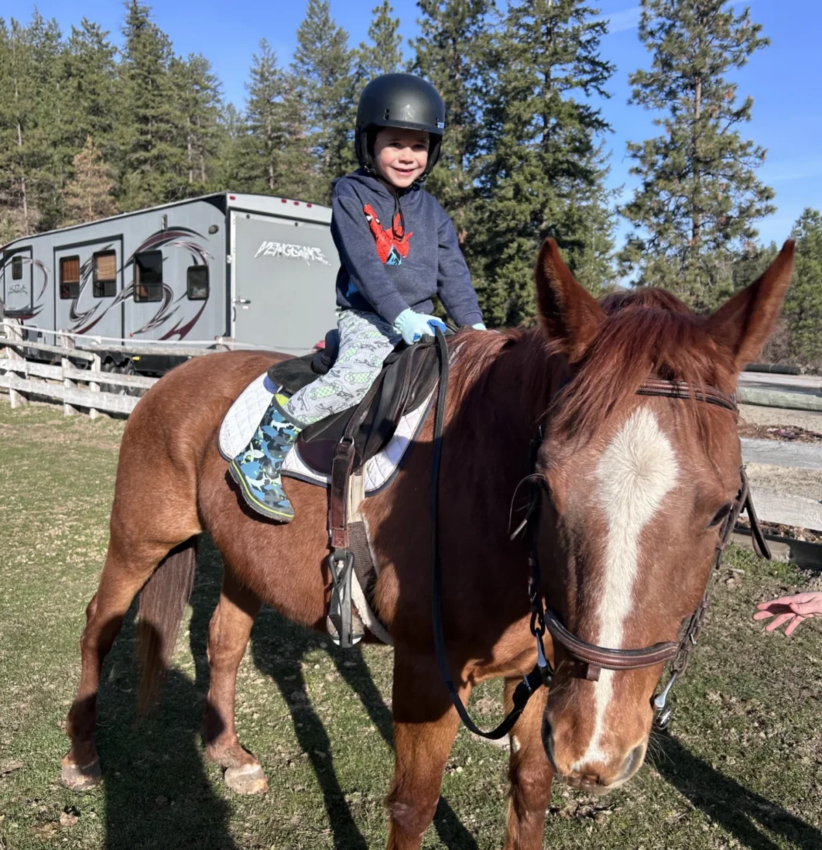 Leo on a Horse - Adaptive Physical Activity - Branchability - Adapted Recreation Programs